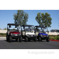 Chariot de golf électrique UTV EEC à 5 kW